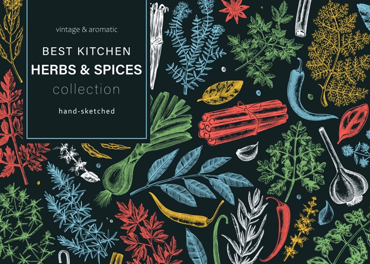 Hand-drawn herbs and spices vector banner. Hand-sketched food illustration. Vintage aromatic plants hand-drawing. Kitchen herbs and spice frame template in sketched style. Menu design on chalkboard